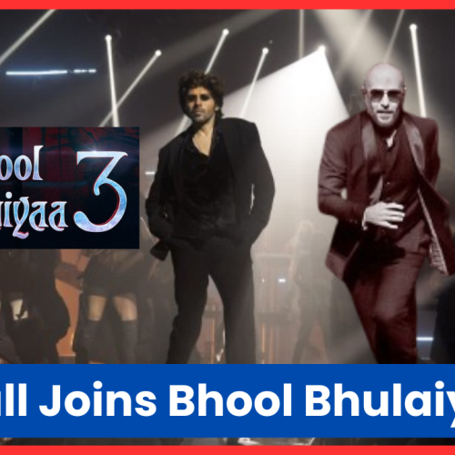 Pitbull Joins Bhool Bhulaiyaa 3! Know Details