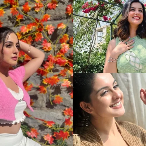 Tunisha Sharma: TV Shows, Serials, Death Reason, and More